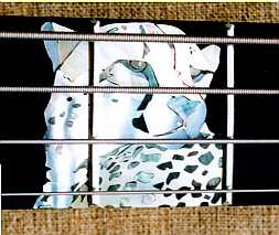 larry robinson inlay